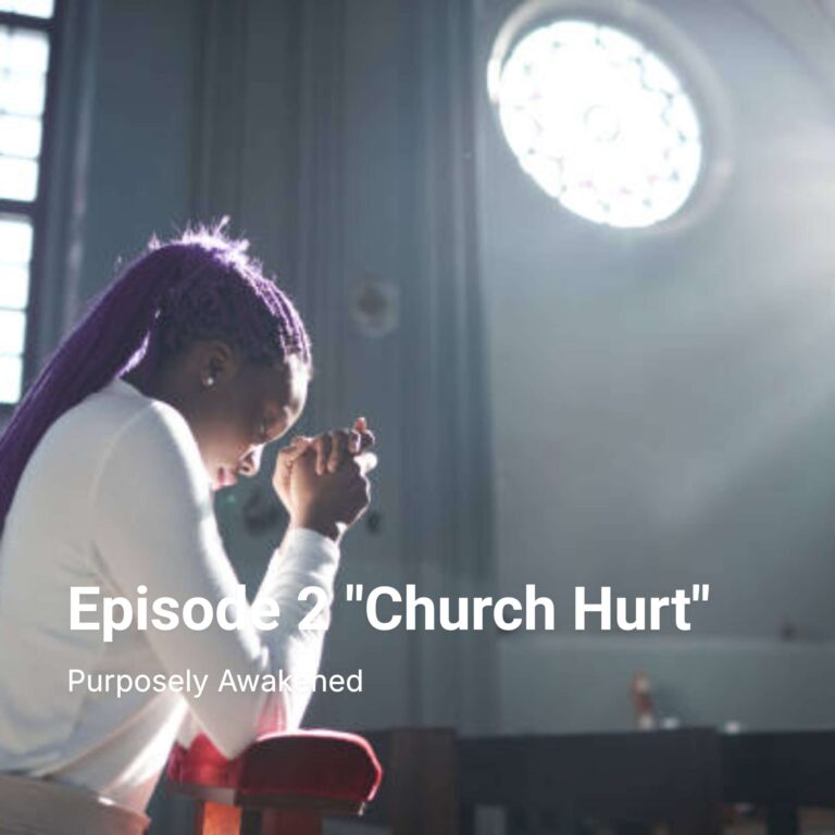 Episode 2 “Church Hurt”